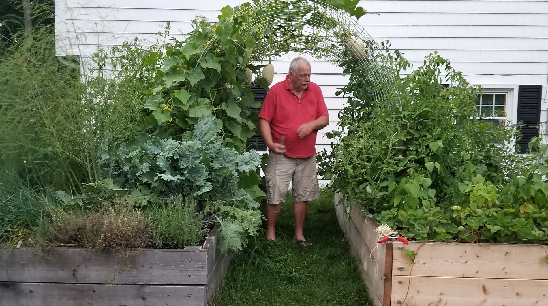 Recycled Grow Bags for Backyard Veggies: A New Raised Bed Style