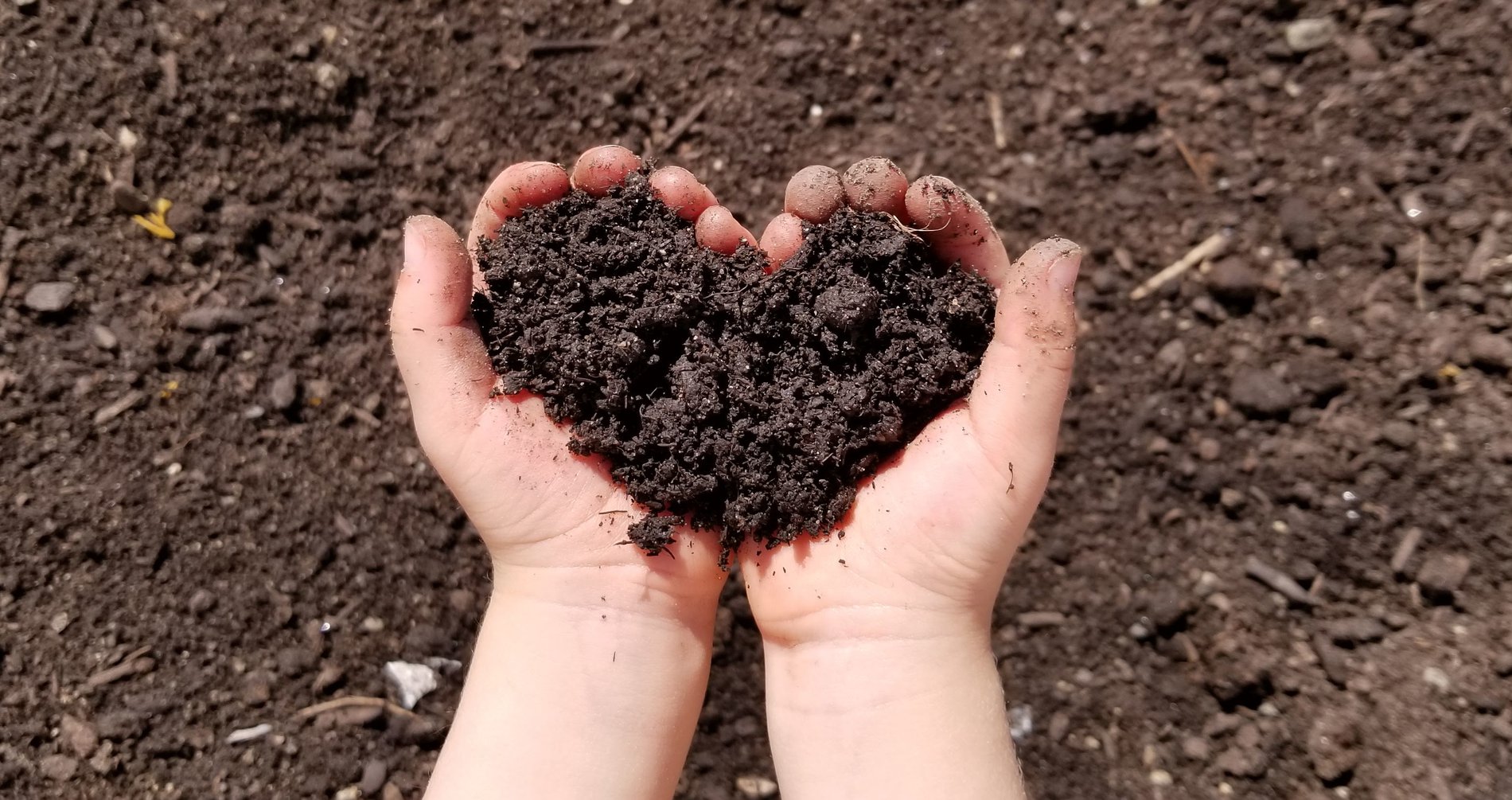 About Our Compost  Black Earth Compost