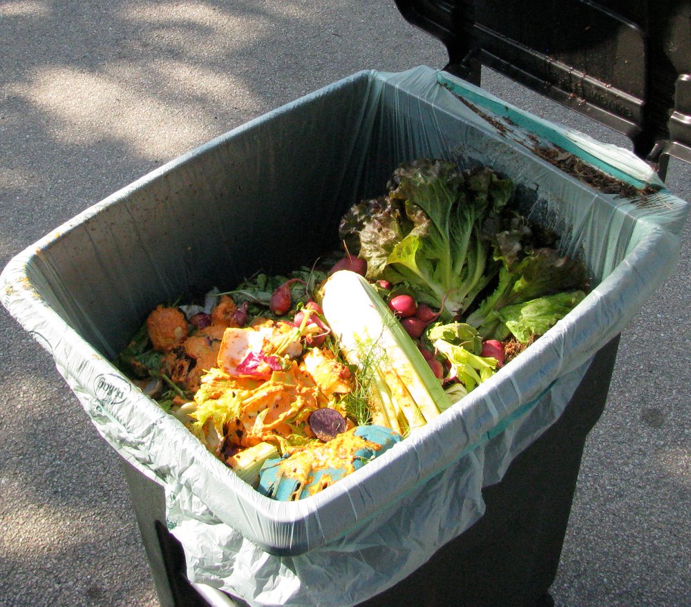 Compostable Black Trash Bag - Go-Compost