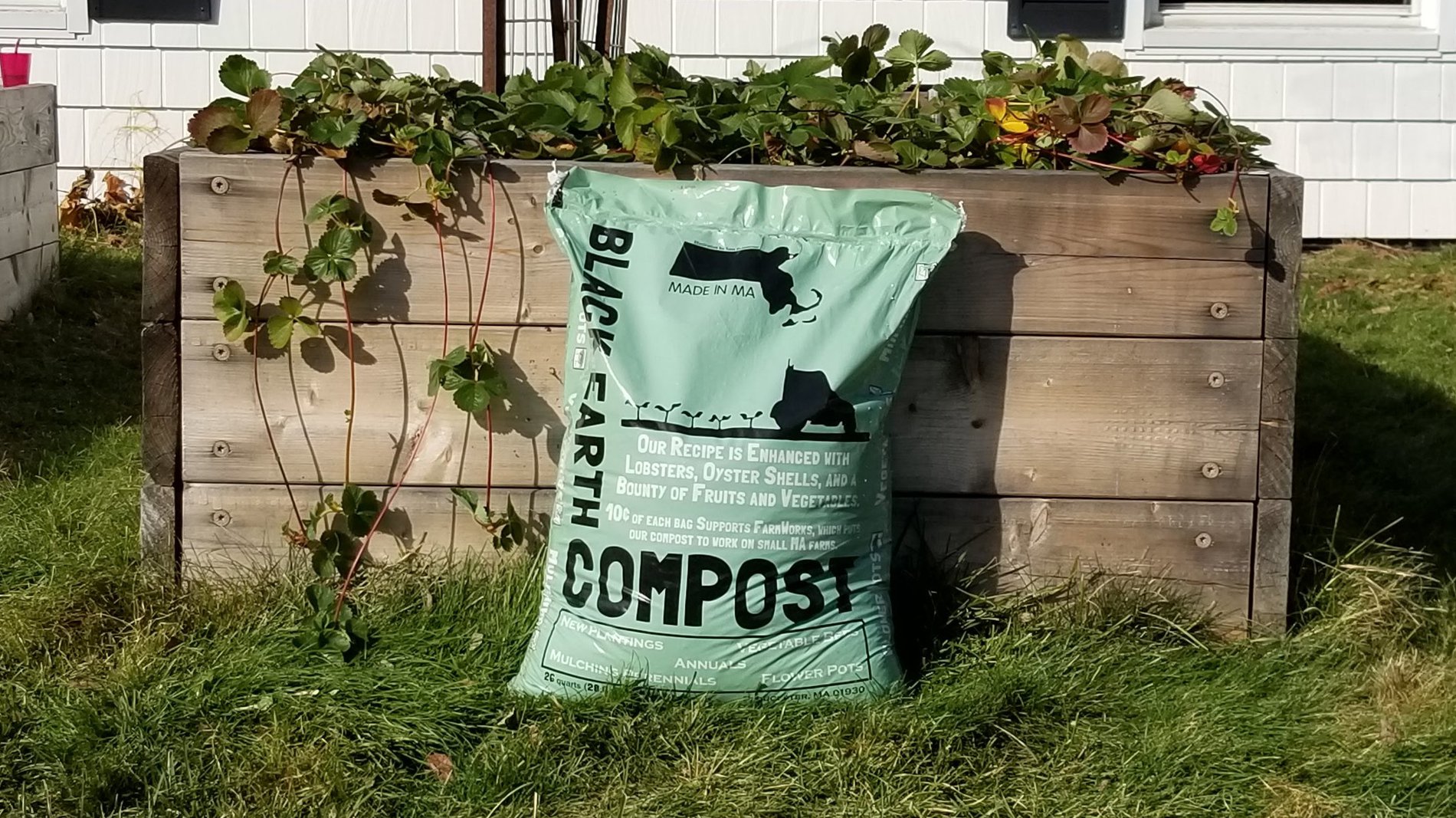 Hackney Order Compost Bags at Albert Streets blog