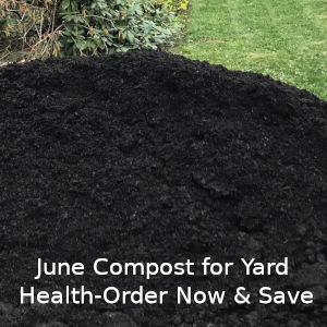 June Compost for Yard Health