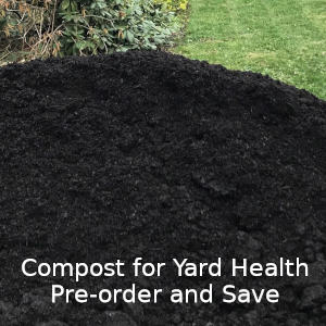 Compost for Yard Health