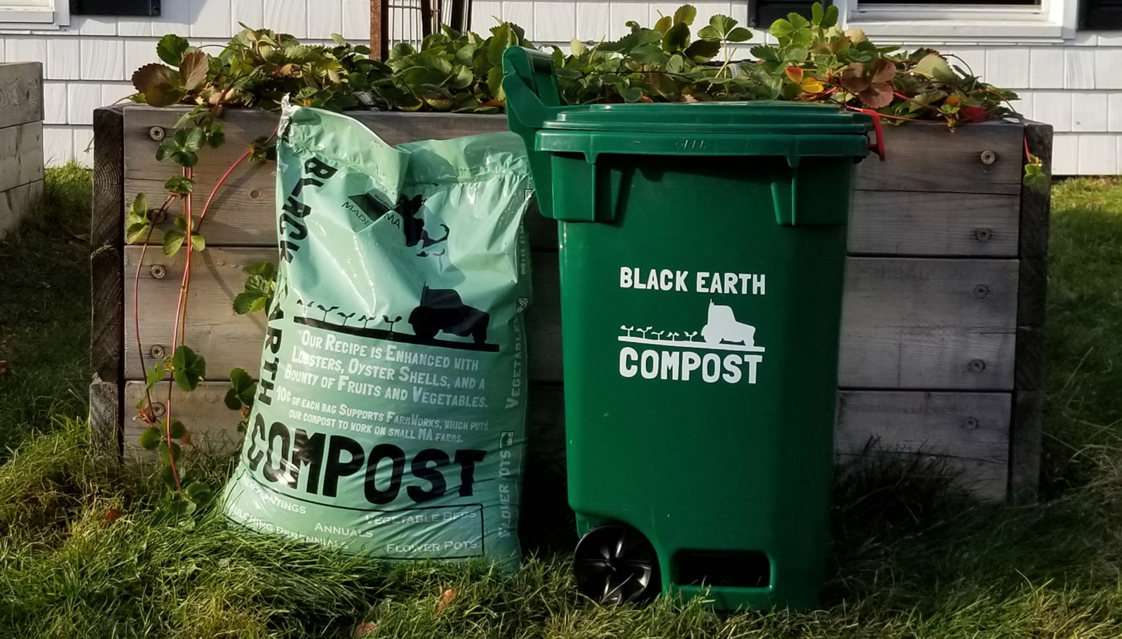 Earth Machine Compost Bin for Boston Residents (store pickup only) — Boston  Building Resources